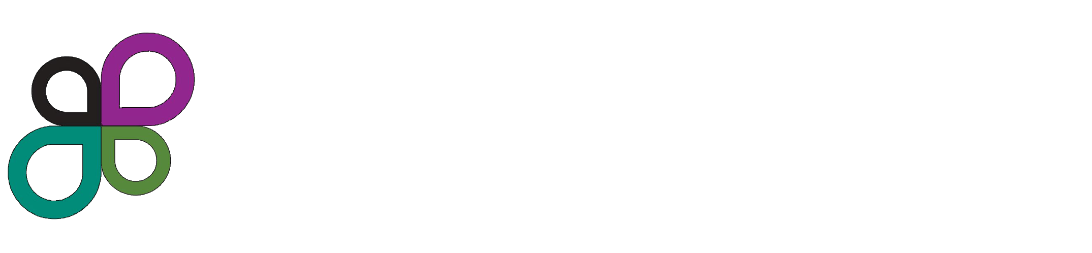 lynne f solon foundation logo